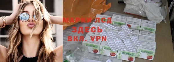 ГАЛЛЮЦИНОГЕННЫЕ ГРИБЫ Аркадак