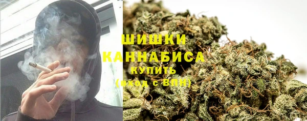 прущая мука Нея