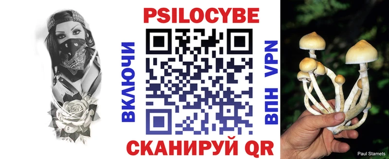 Псилоцибиновые грибы мицелий  где можно купить   mega ONION  Алзамай 
